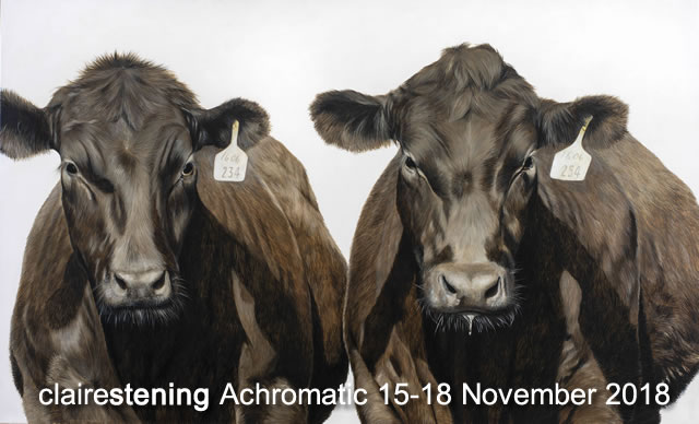 Cow Twins Header 640